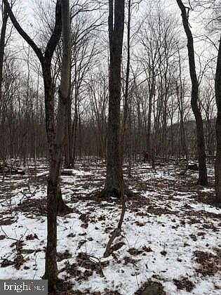 37 Acres of Improved Land for Auction in Spring Run, Pennsylvania