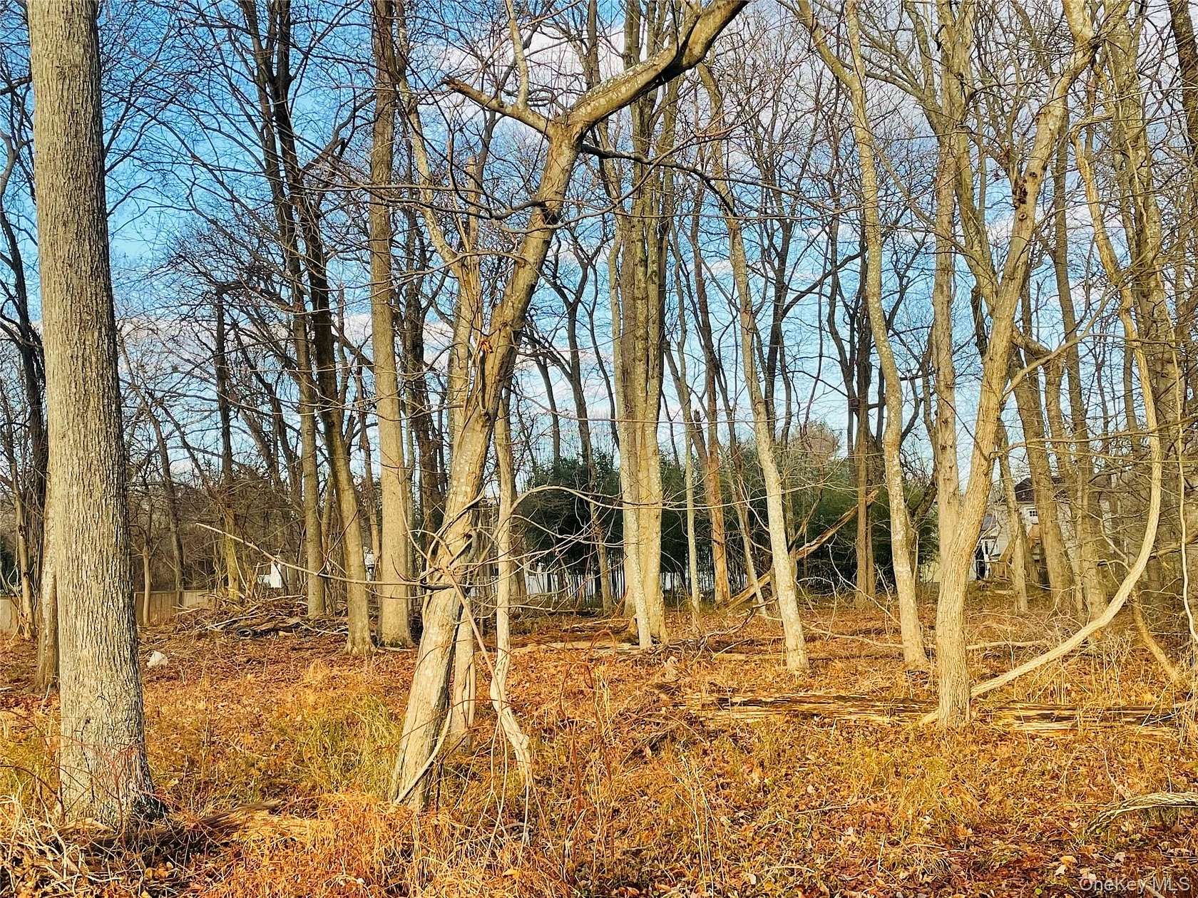 0.5 Acres of Land for Sale in Middle Island, New York