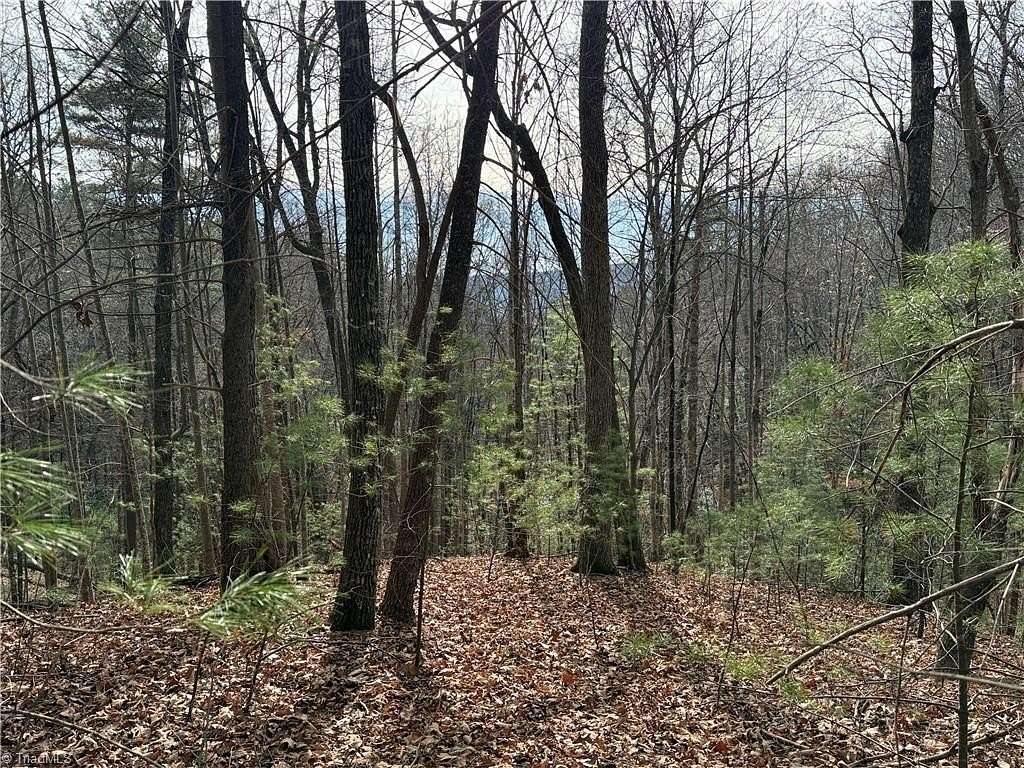 5.29 Acres of Residential Land for Sale in Purlear, North Carolina