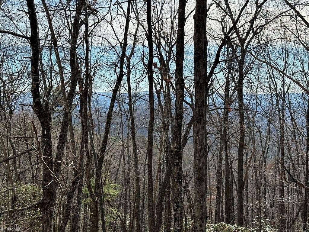 3.23 Acres of Residential Land for Sale in Purlear, North Carolina