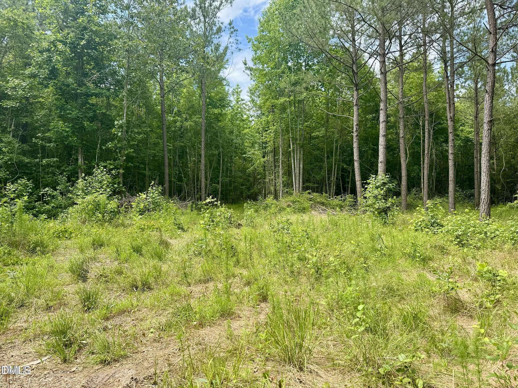13.2 Acres of Land for Sale in Spring Hope, North Carolina