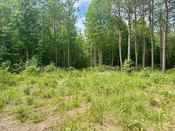 13.2 Acres of Land for Sale in Spring Hope, North Carolina