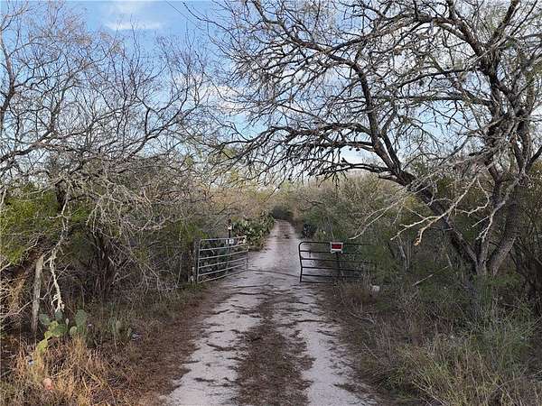 45 Acres of Improved Recreational Land for Sale in Orange Grove, Texas