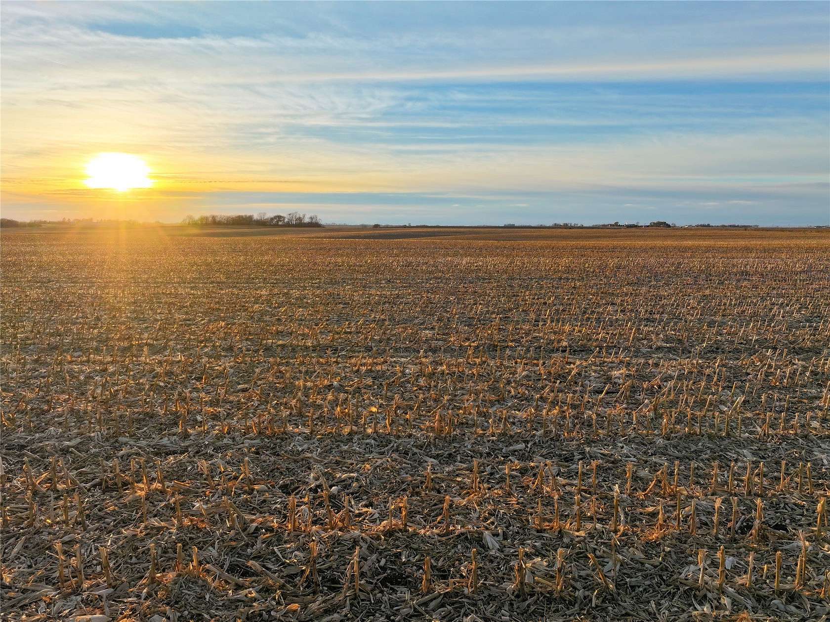240 Acres of Agricultural Land for Sale in Jefferson Township, Iowa