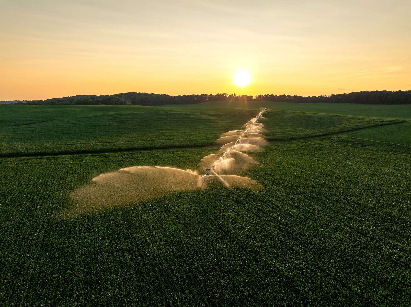 1,120 Acres of Recreational Land & Farm for Auction in Iola, Wisconsin