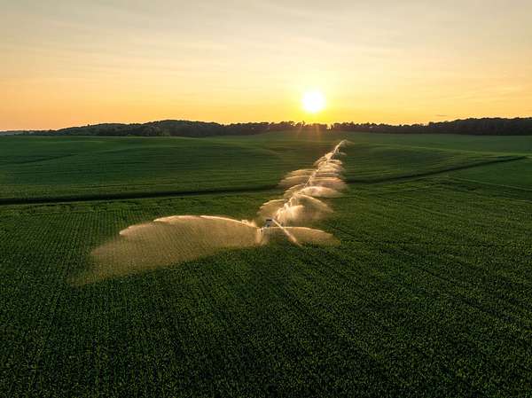 1,120 Acres of Recreational Land & Farm for Auction in Iola, Wisconsin