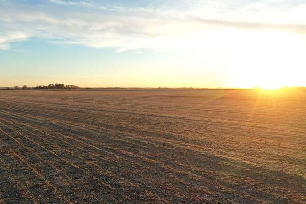 160 Acres of Recreational Land & Farm for Auction in Sheffield, Iowa