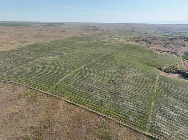 749 Acres of Recreational Land & Farm for Sale in Touchet, Washington