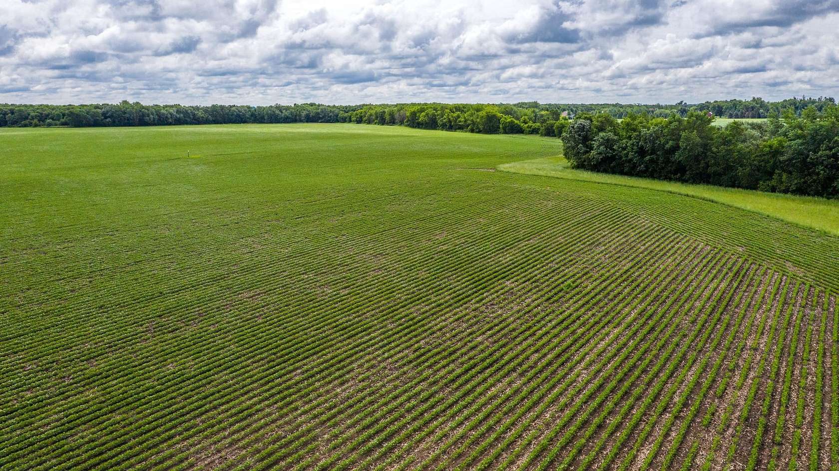 120 Acres of Recreational Land & Farm for Sale in Blooming Prairie, Minnesota