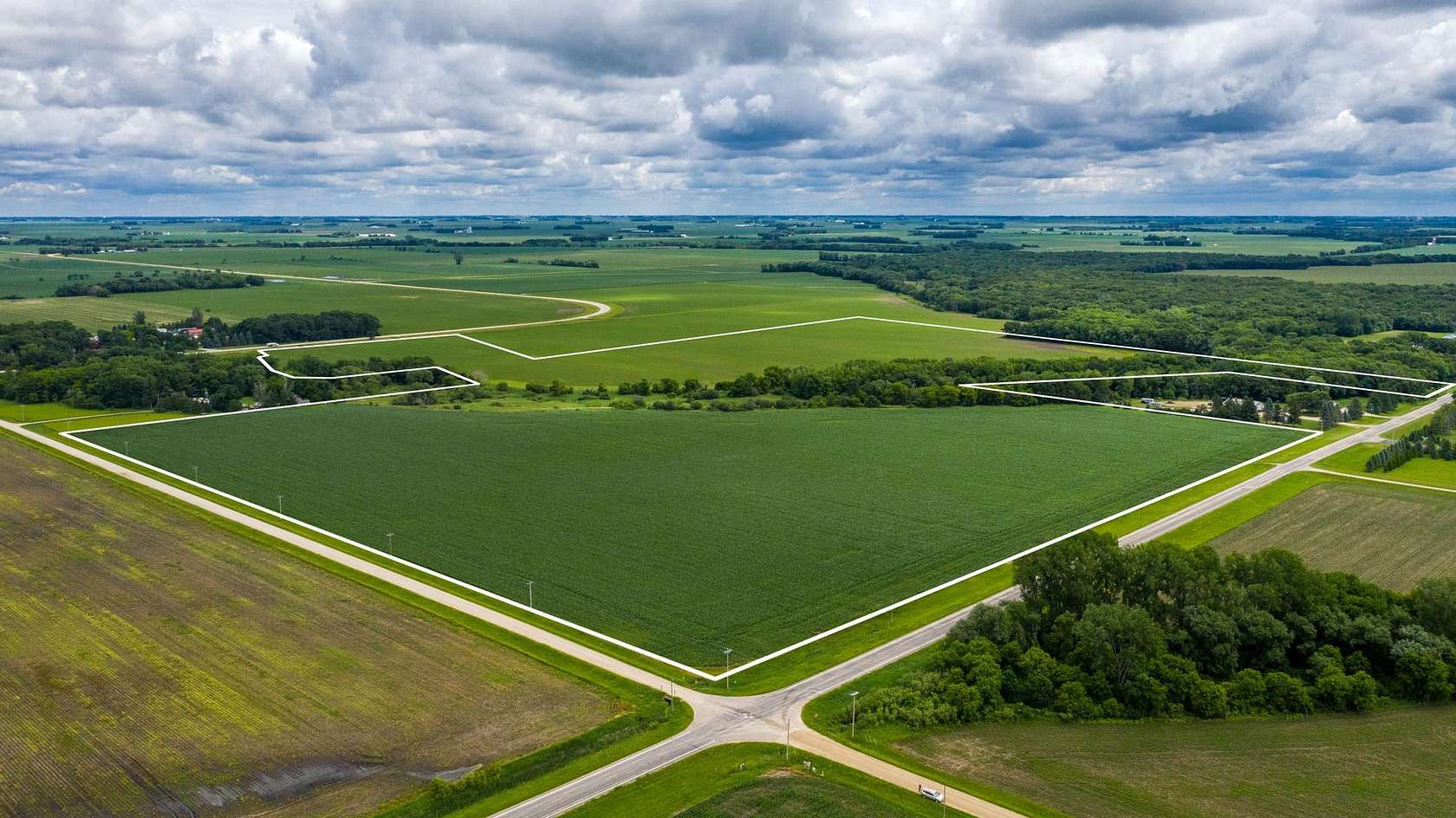 120 Acres of Land for Sale in Blooming Prairie, Minnesota
