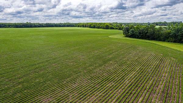 120 Acres of Recreational Land & Farm for Sale in Blooming Prairie, Minnesota