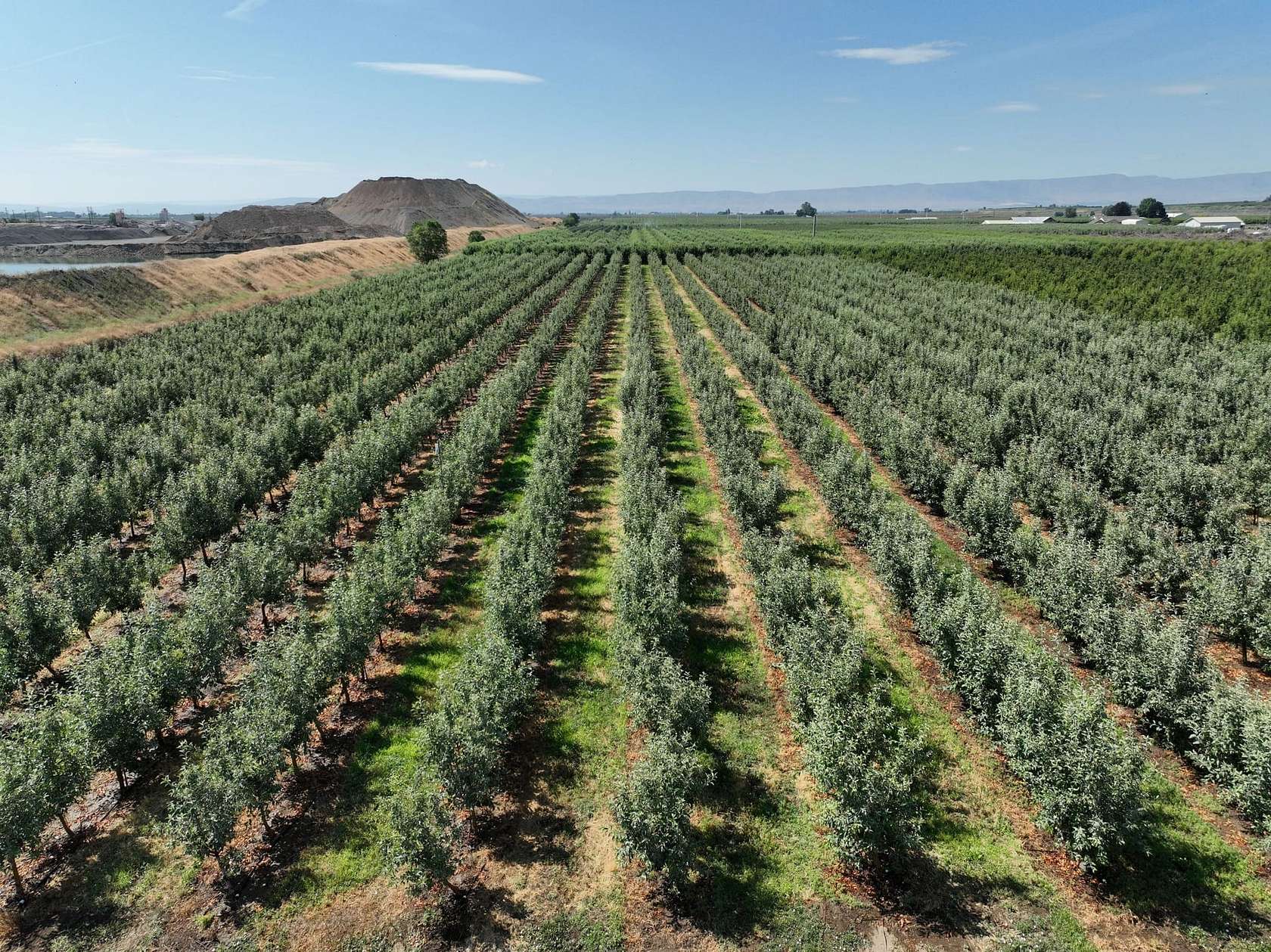 56.3 Acres of Recreational Land for Sale in Wapato, Washington