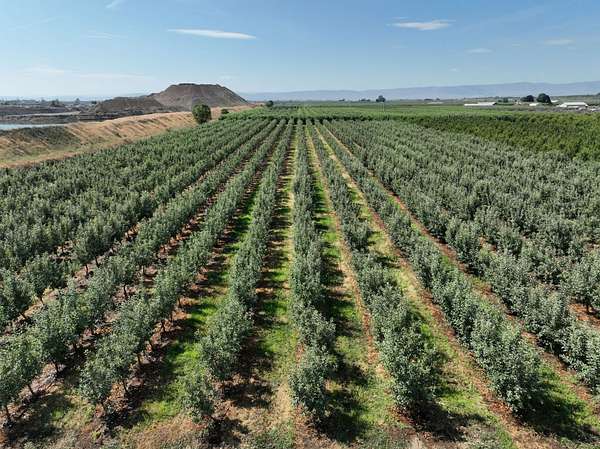 56.3 Acres of Recreational Land for Sale in Wapato, Washington