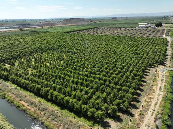 56.3 Acres of Recreational Land for Sale in Wapato, Washington