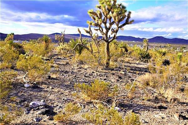 1 Acre of Land for Sale in Dolan Springs, Arizona