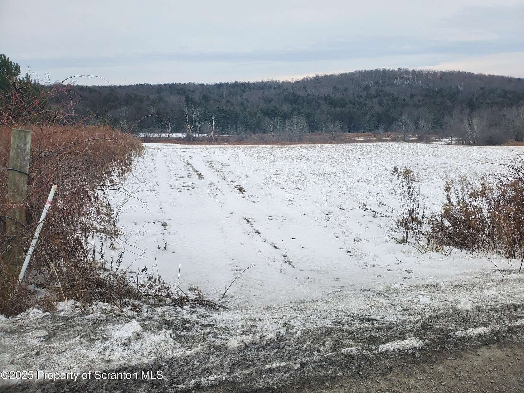 10 Acres of Residential Land for Sale in Montrose, Pennsylvania