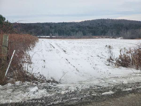 10 Acres of Residential Land for Sale in Montrose, Pennsylvania