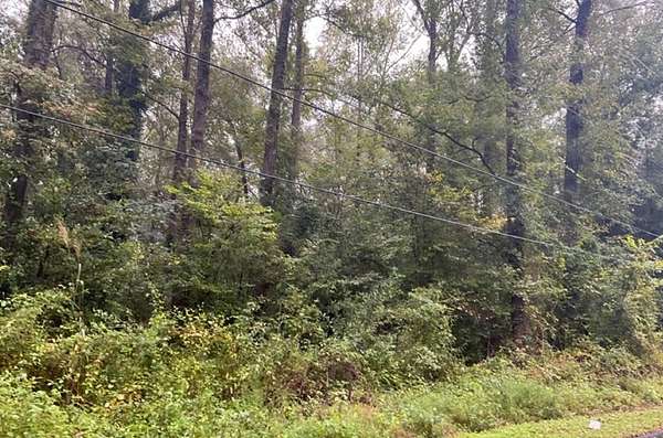 0.22 Acres of Residential Land for Sale in Ivey, Georgia