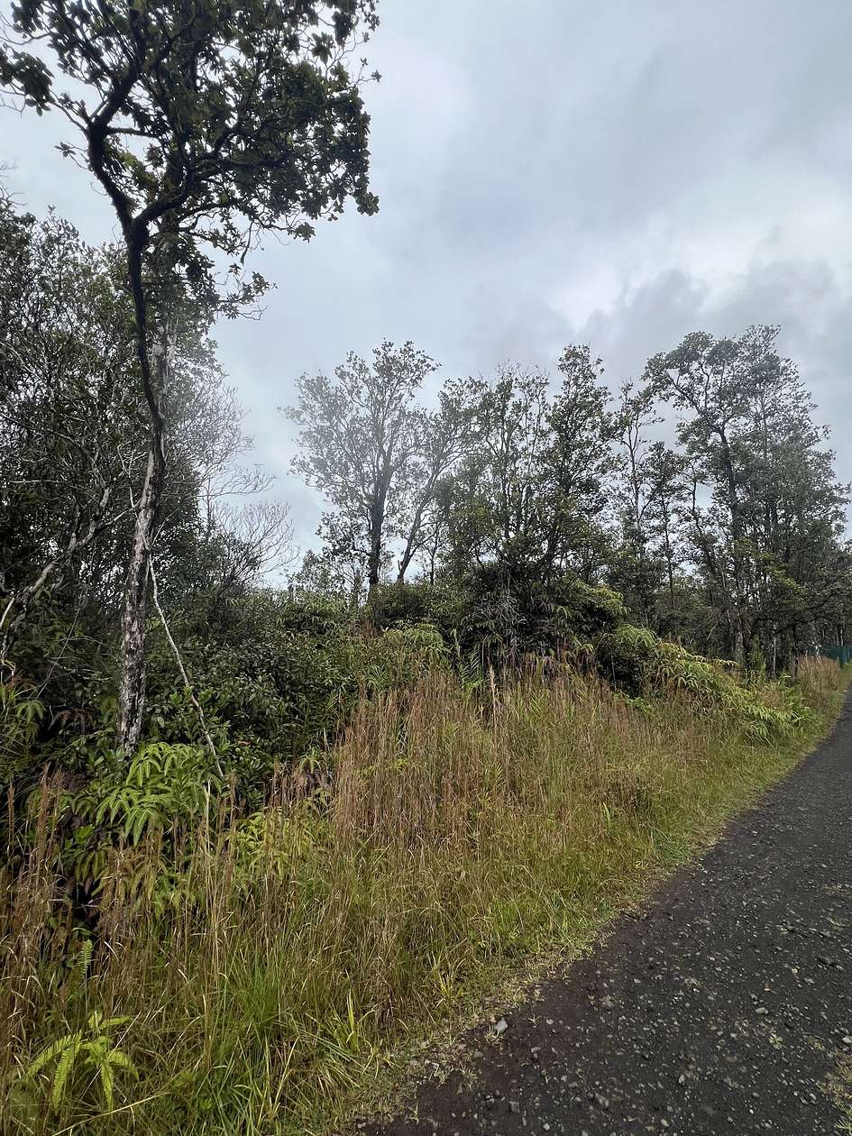 1 Acre of Residential Land for Sale in Mountain View, Hawaii