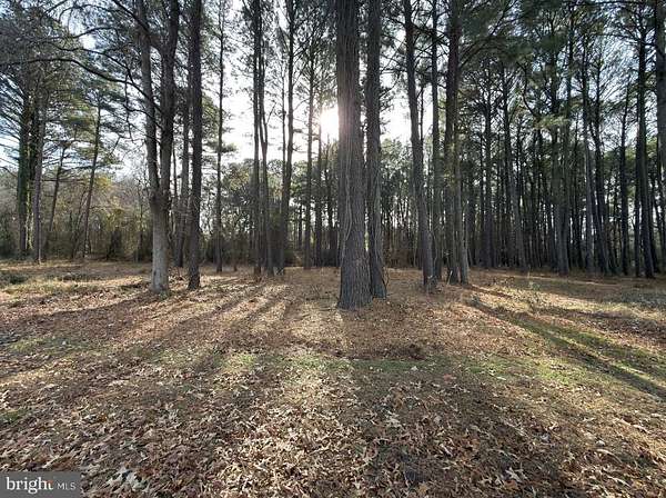 1.2 Acres of Residential Land for Sale in Deal Island, Maryland