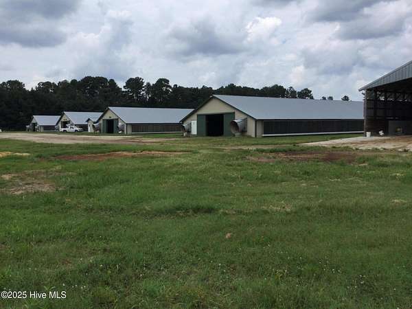 35 Acres of Agricultural Land for Sale in Bladenboro, North Carolina