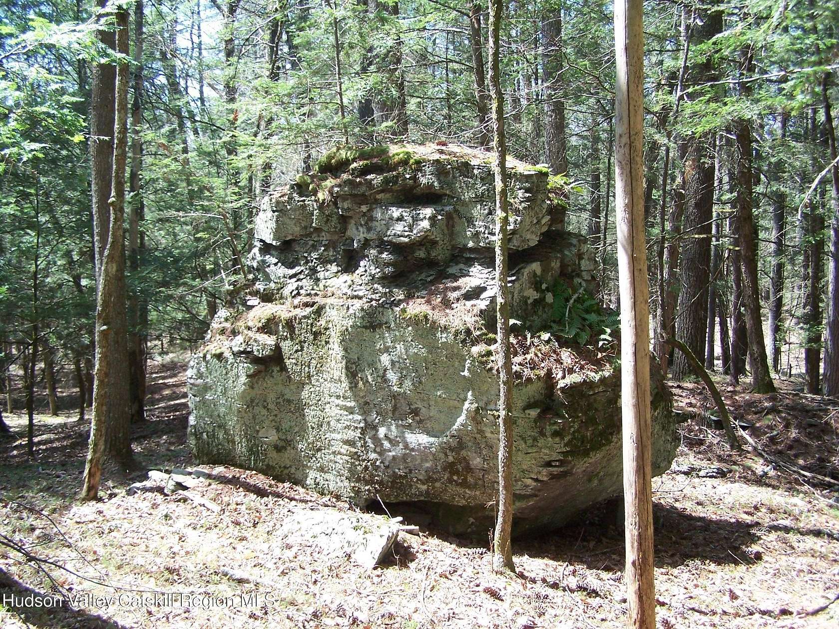 22.8 Acres of Recreational Land for Sale in Stone Ridge, New York