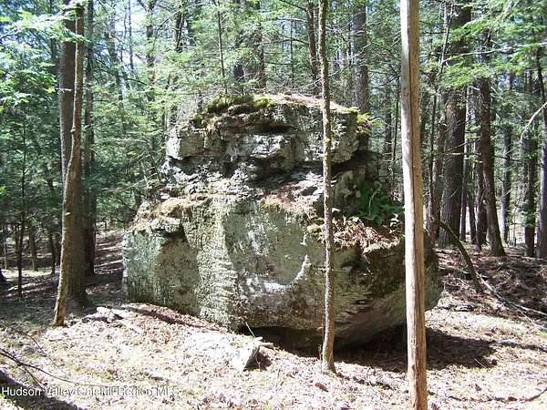 22.8 Acres of Recreational Land for Sale in Stone Ridge, New York