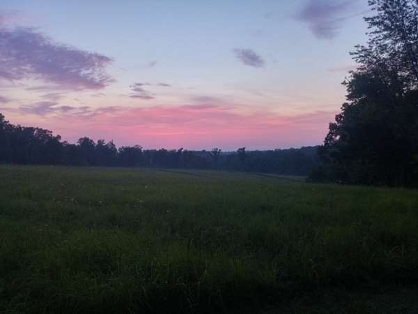 39.4 Acres of Agricultural Land for Sale in Primm Springs, Tennessee