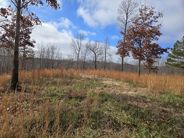 30.5 Acres of Land for Sale in Liberty, Tennessee