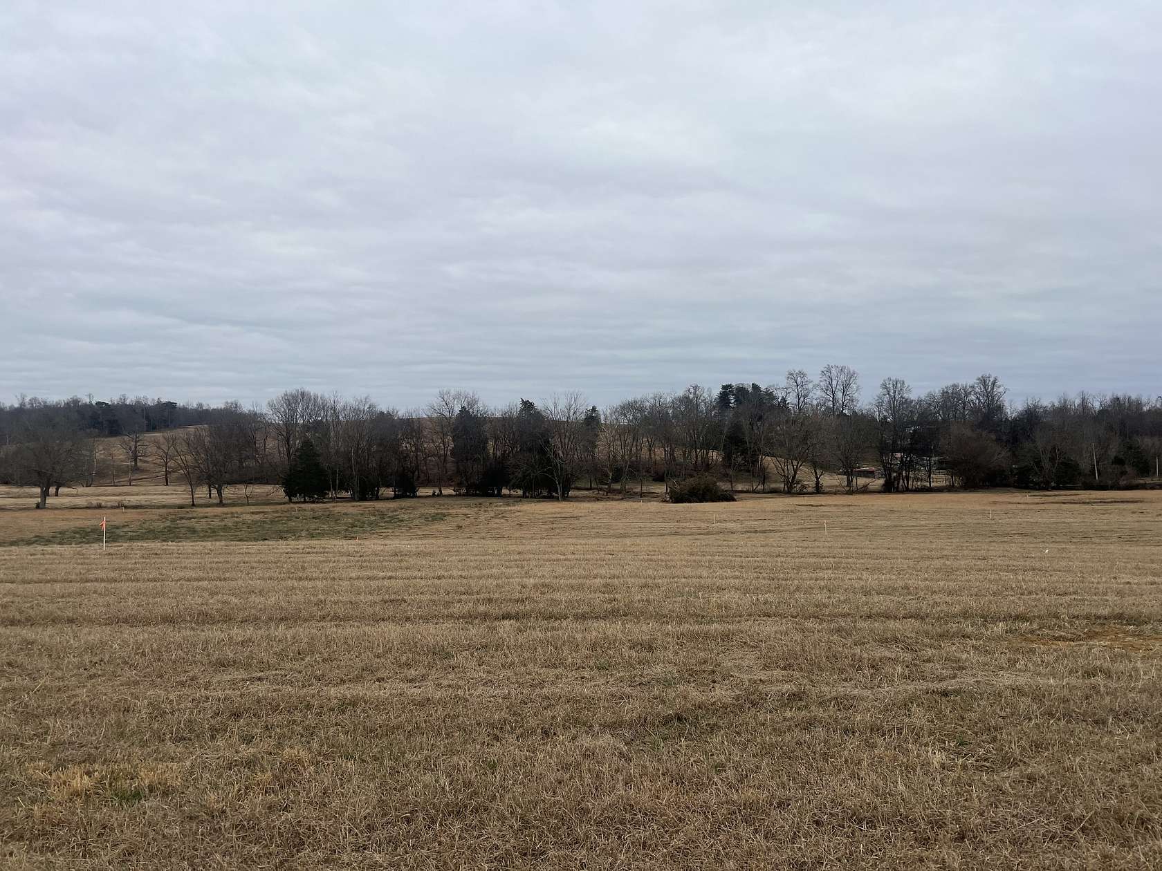 1 Acre of Residential Land for Sale in Moss, Tennessee