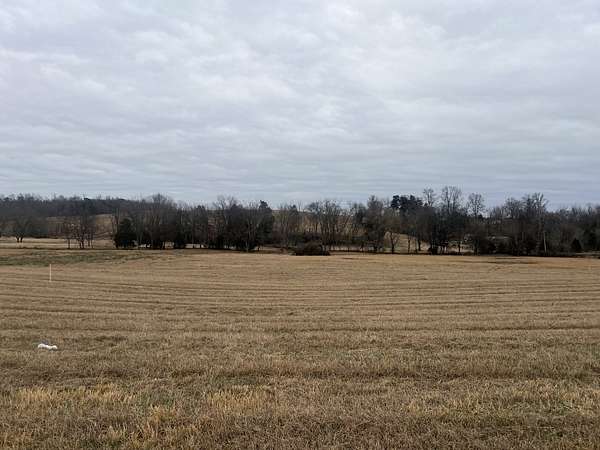 1 Acre of Residential Land for Sale in Moss, Tennessee