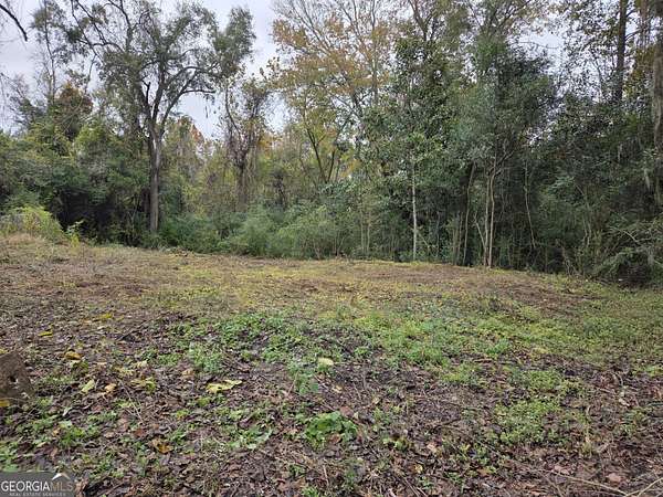 0.1 Acres of Residential Land for Sale in Savannah, Georgia