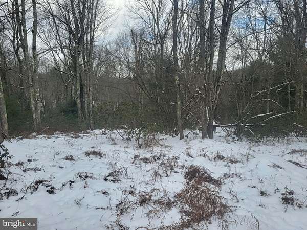 11 Acres of Recreational Land for Sale in Loganton, Pennsylvania