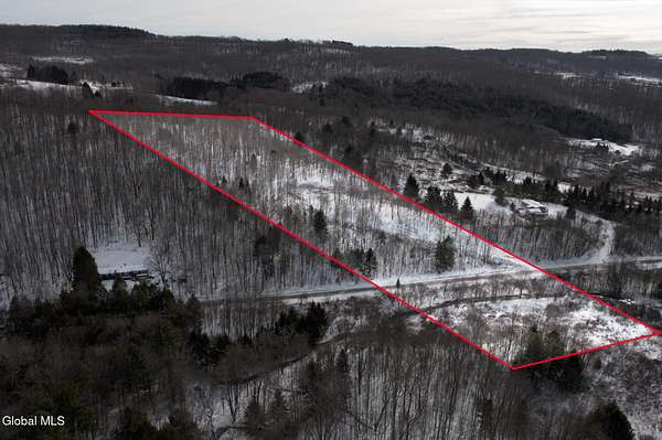 11.3 Acres of Recreational Land for Sale in Sidney Center, New York