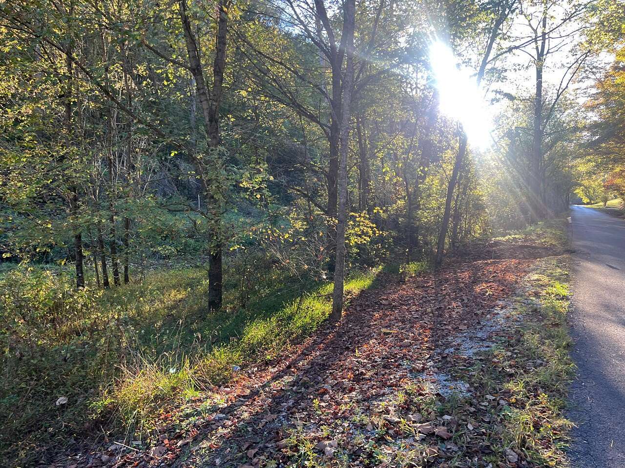 25 Acres of Recreational Land for Sale in Hinkle, Kentucky