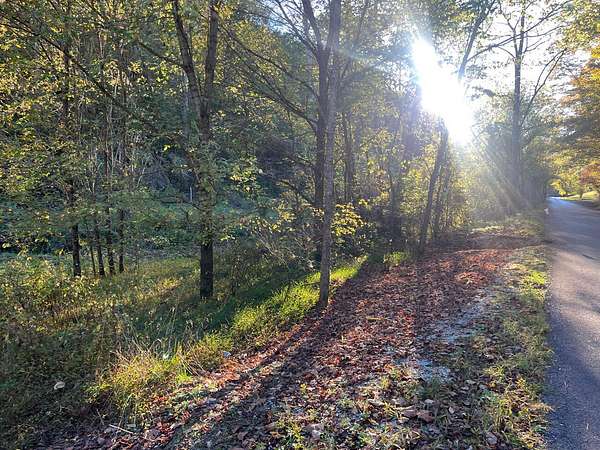 25 Acres of Recreational Land for Sale in Hinkle, Kentucky