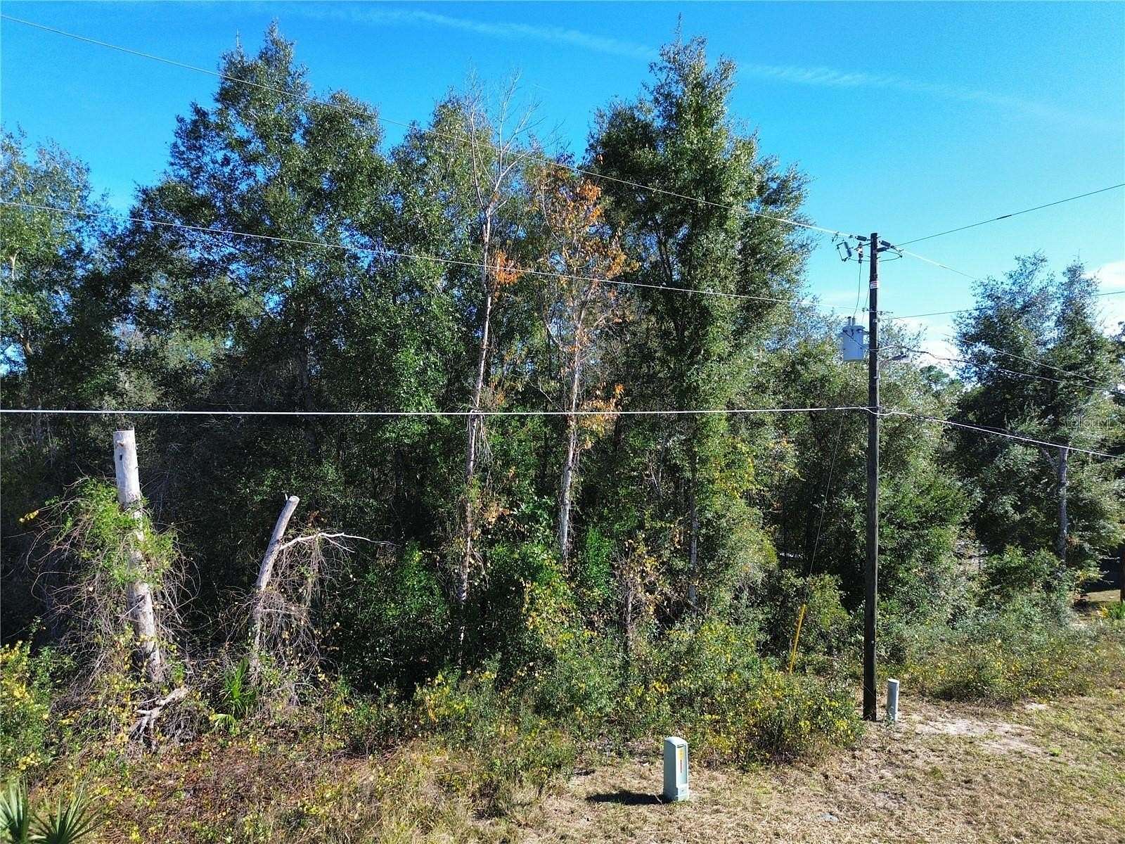0.31 Acres of Residential Land for Sale in Silver Springs, Florida