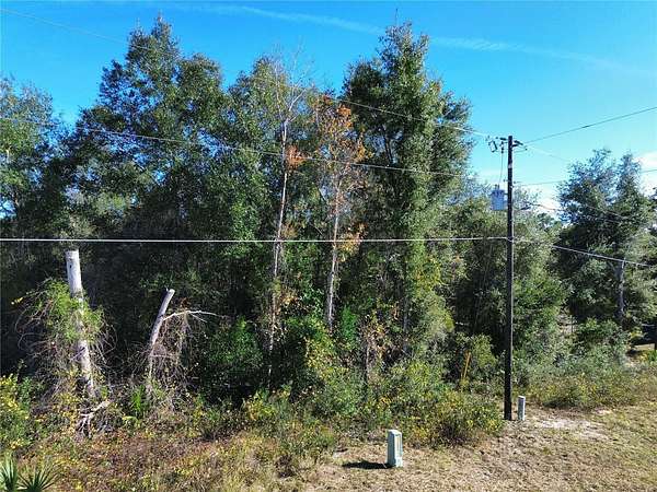 0.31 Acres of Residential Land for Sale in Silver Springs, Florida