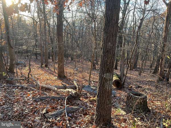 0.71 Acres of Residential Land for Sale in Harpers Ferry, West Virginia