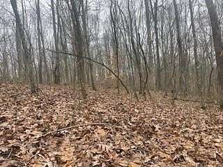 95.8 Acres of Recreational Land for Sale in South Webster, Ohio