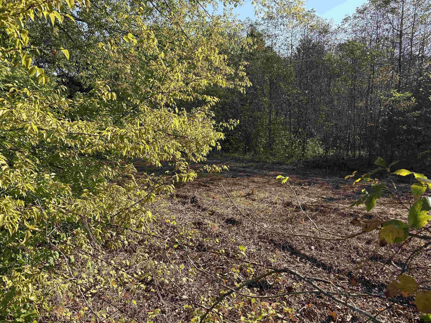 6 Acres of Land for Sale in Brownsboro, Texas