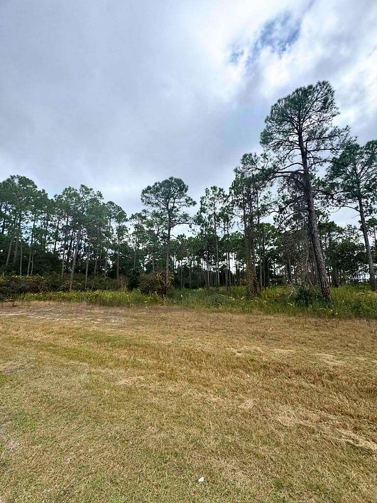 1 Acre of Residential Land for Sale in Eastpoint, Florida