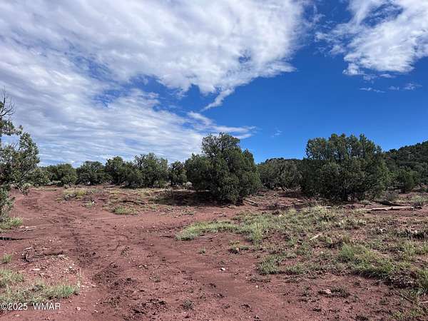 40 Acres of Recreational Land for Sale in Show Low, Arizona