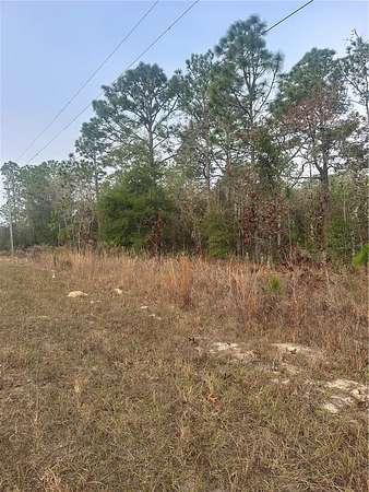 1.16 Acres of Residential Land for Sale in Ocala, Florida