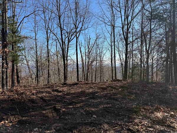 9.5 Acres of Land for Sale in Oark, Arkansas