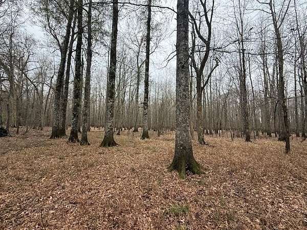 423 Acres of Recreational Land for Sale in Stanton, Tennessee