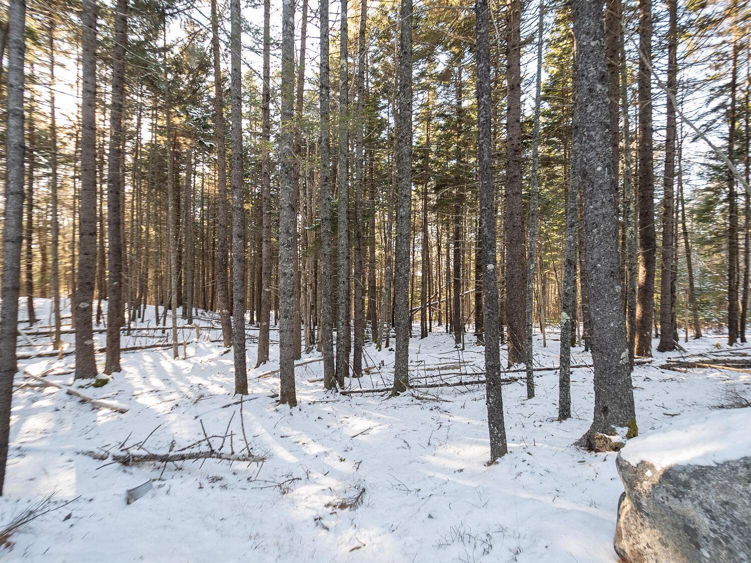 1.5 Acres of Land for Sale in Southwest Harbor, Maine