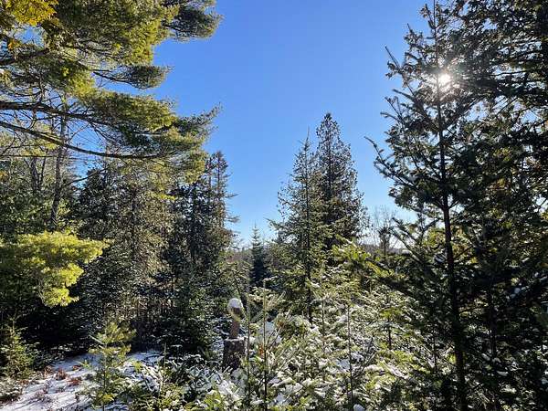 2.19 Acres of Land for Sale in Bar Harbor, Maine