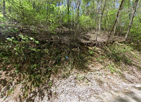 0.31 Acres of Residential Land for Sale in Sevierville, Tennessee