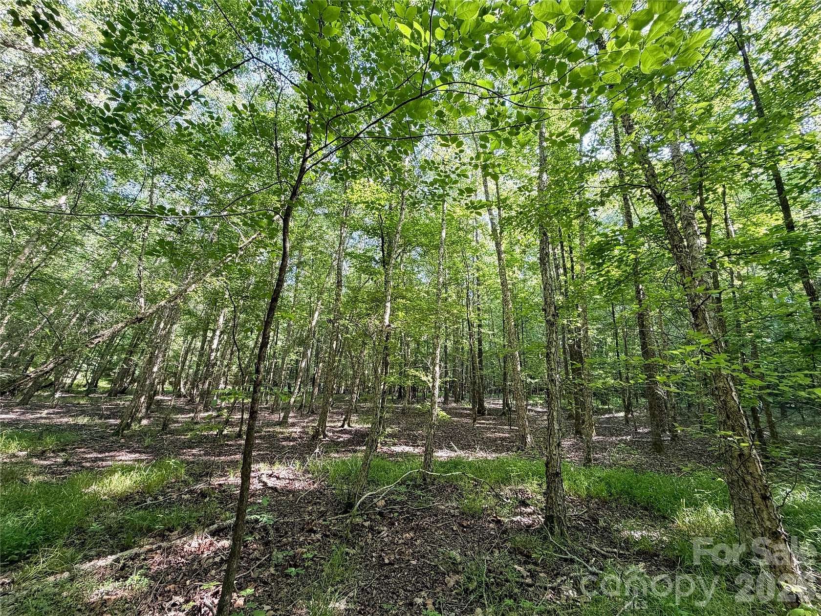 10.5 Acres of Land for Sale in Lake Wylie, South Carolina